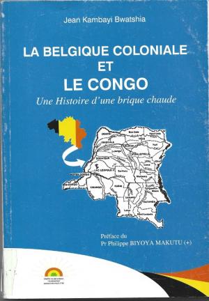 La belegique coloniale et le Congo: "Une histoire d'une brique chaude "